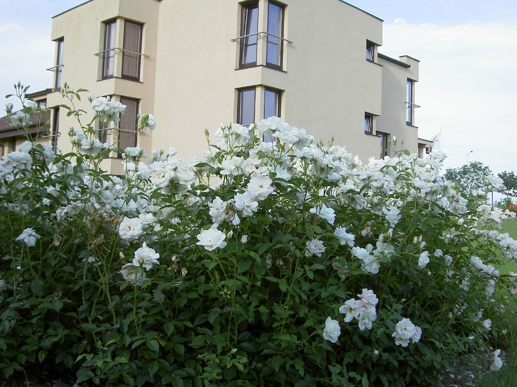 Hotel Grodzki Poznań Kültér fotó
